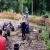 Bob's Mill Diary - Sunday 12th July 2015